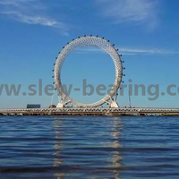 Slewing Bearing for Ferris Wheel