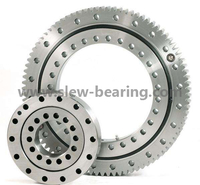 Anti-corrosion Large Diameter Slewing Bearing for Ferris Wheel